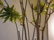 Design sem nome - 2024-04-18T131824.972